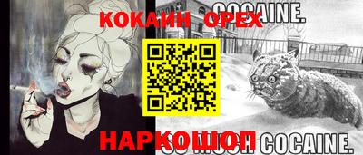 наркотики Камышлов