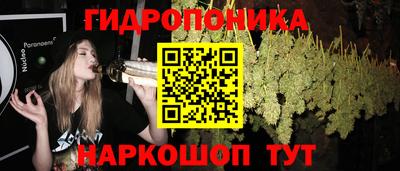 шишки Канаш