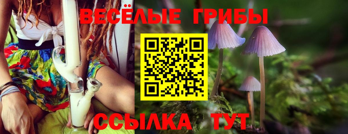 магазин  наркотиков  Псилоцибиновые грибы Magic Shrooms  Кушва  Вход с VPN  Галлюциногенные грибы MAGIC MUSHROOMS 